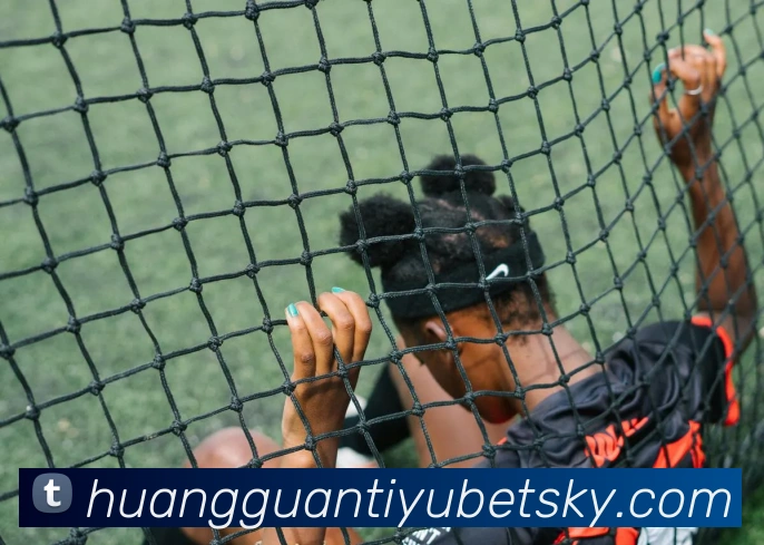 App Interface Preview